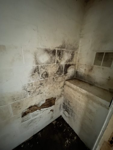 Damp Company Tunbridge Wells